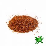 Quinoa roja a granel a domiciliio