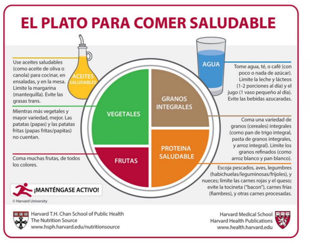 el plato para comer saludable